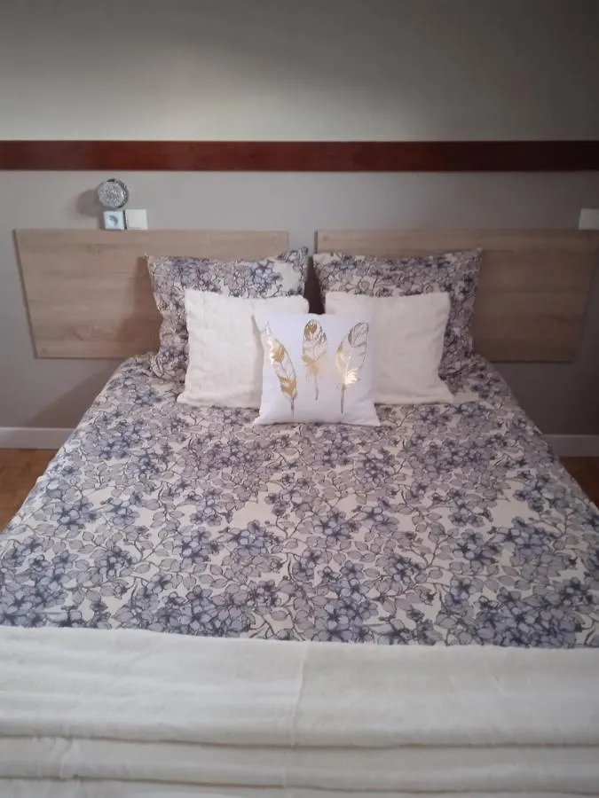 Hotel Sainte Therese Lourdes