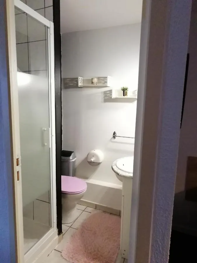 Hotel Sainte Therese ルルド フランス