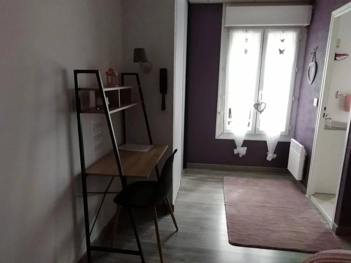 Hotel Sainte Therese ルルド 2*,