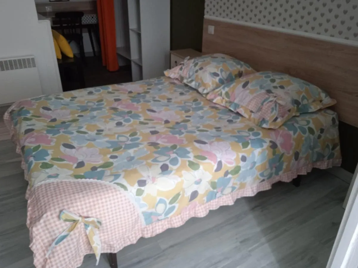 Hotel Sainte Therese ルルド